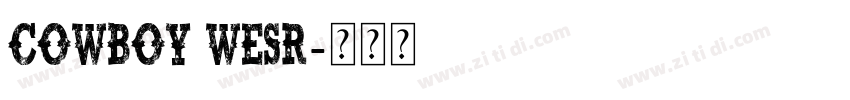 cowboy wesr字体转换